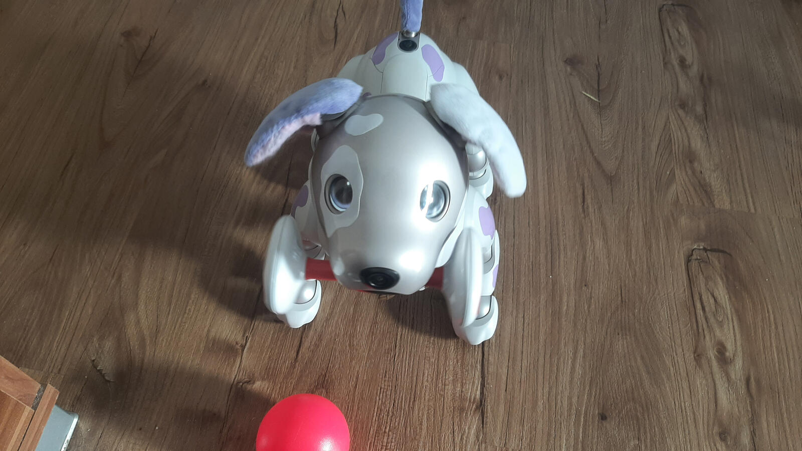 playing with his toys