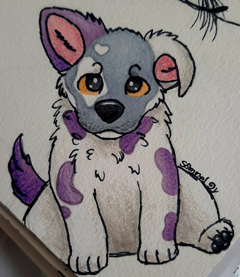 little doodle - Richart as a &quot;real puppy&quot;